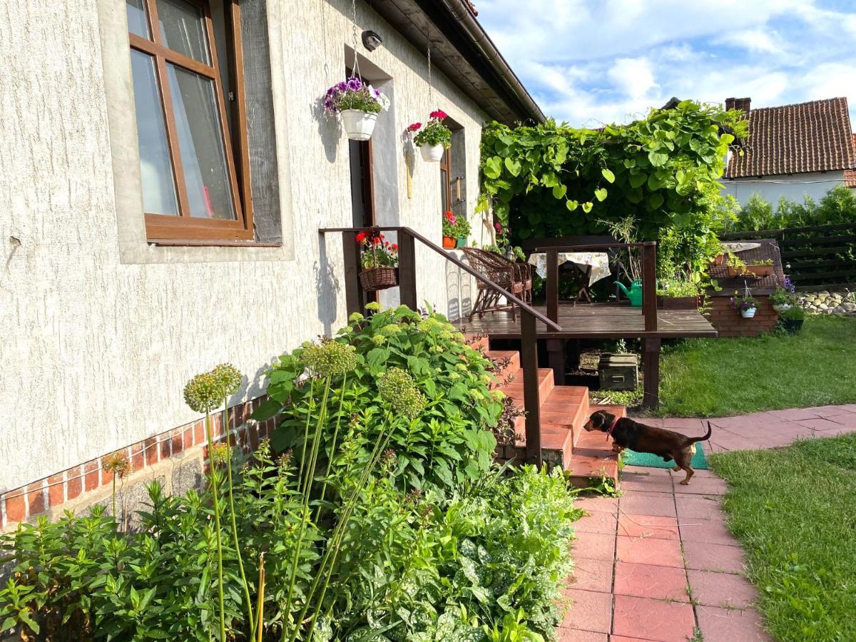Dom Nad Krutynia Apartamento Ukta Exterior foto
